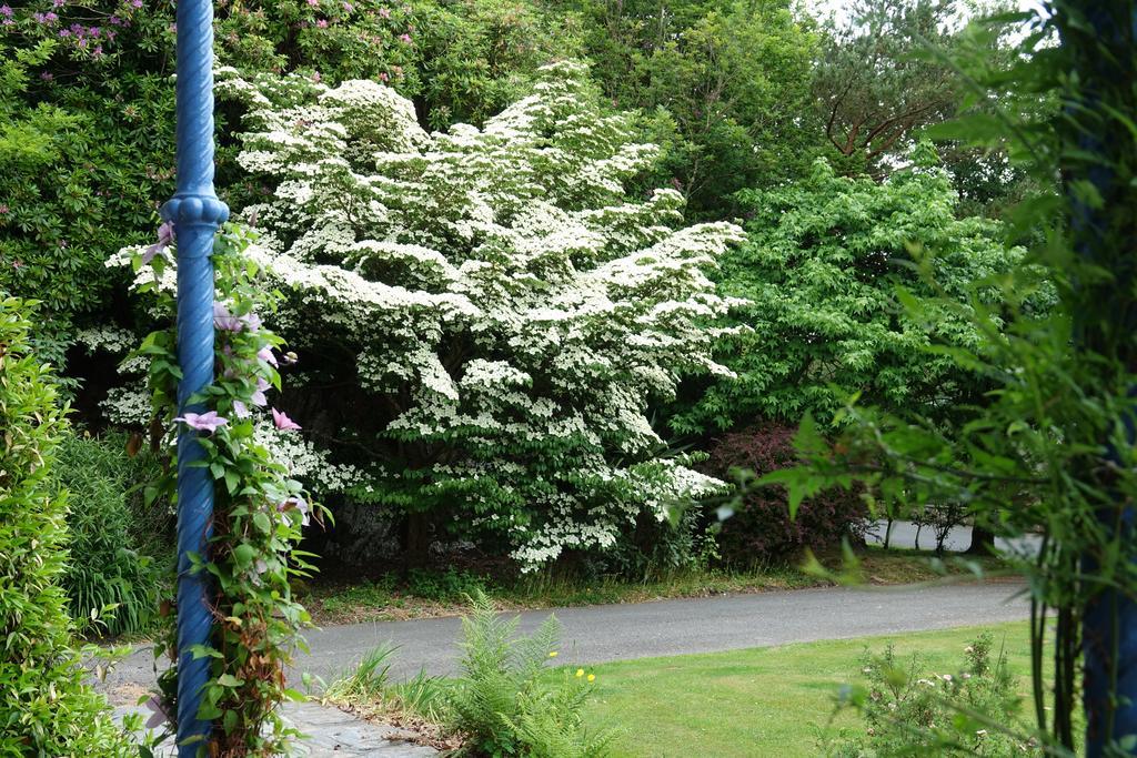 Guest house Borthwnog Hall Penmaenpool