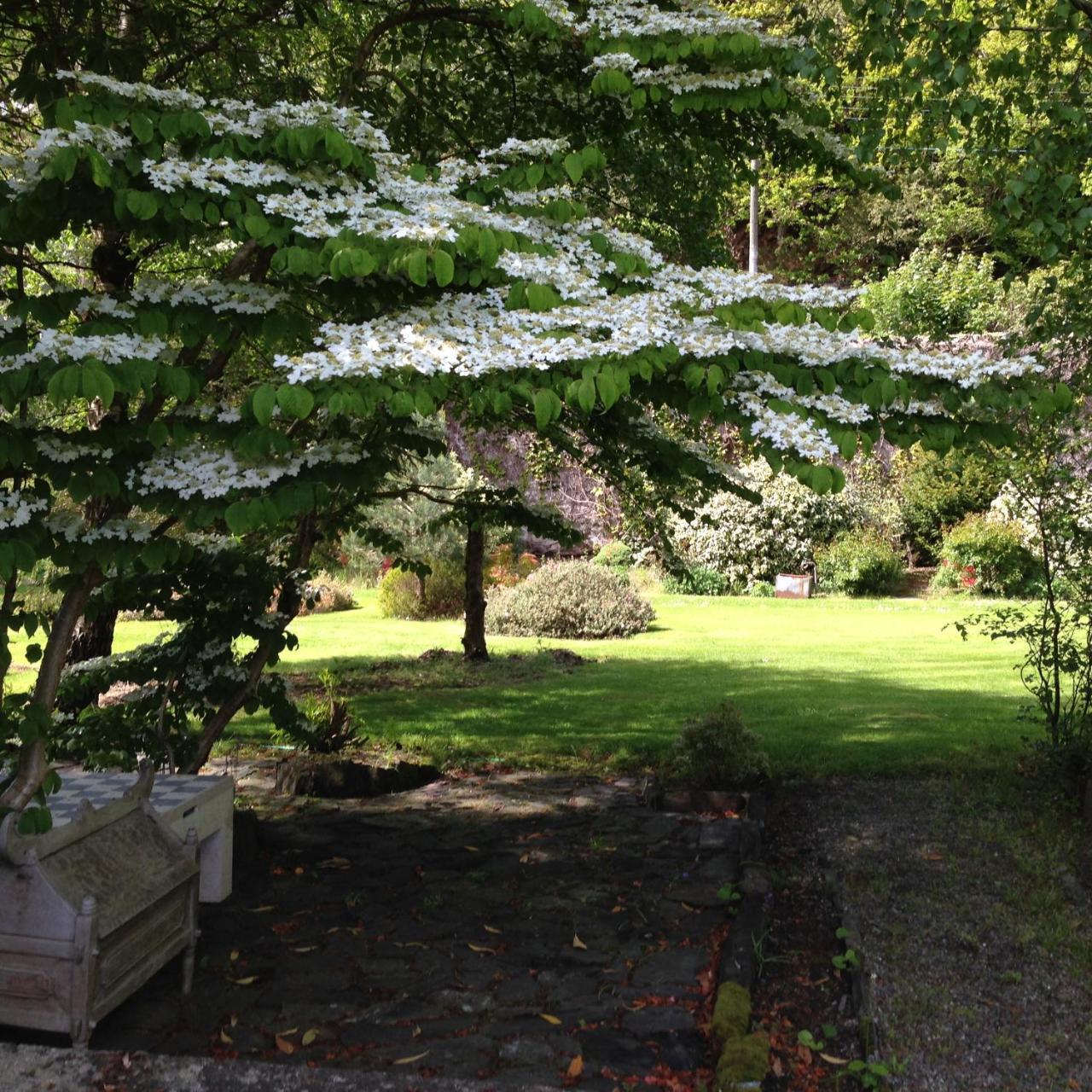 Borthwnog Hall Guest house Penmaenpool
